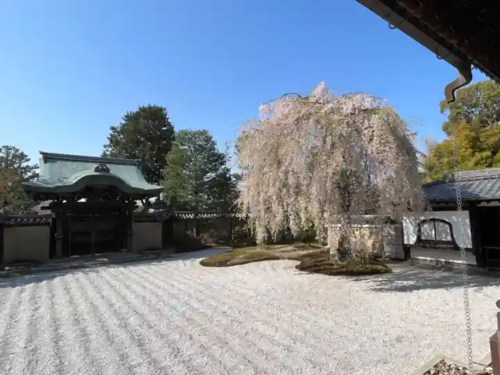 高台寺(高台寿聖禅寺・高臺寺)(京都府)