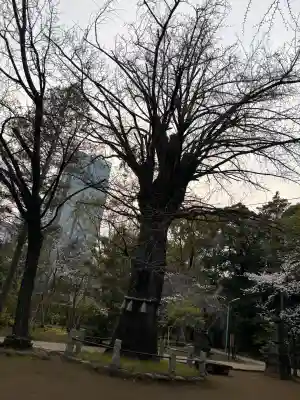 赤坂氷川神社(東京都)