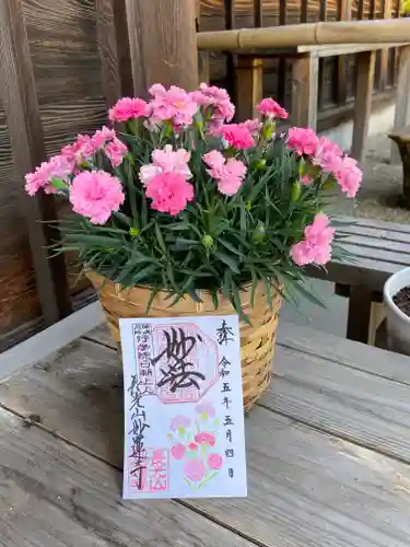 妙蓮寺の御朱印