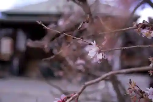 大坊本行寺(東京都)