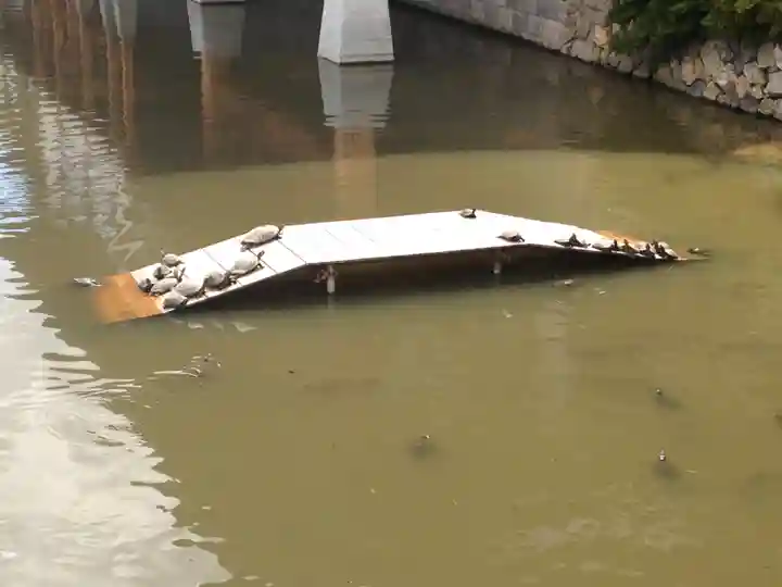 善光寺(長野県)