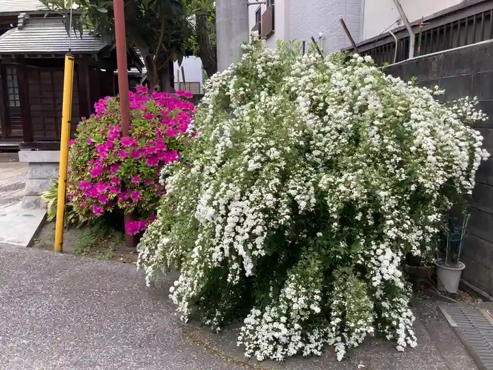相応寺(神奈川県)