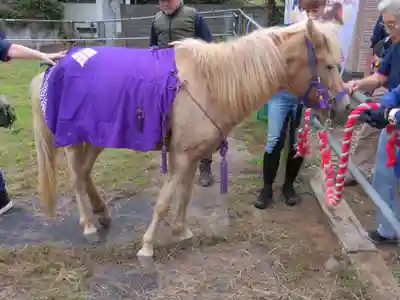 妙安寺(埼玉県)