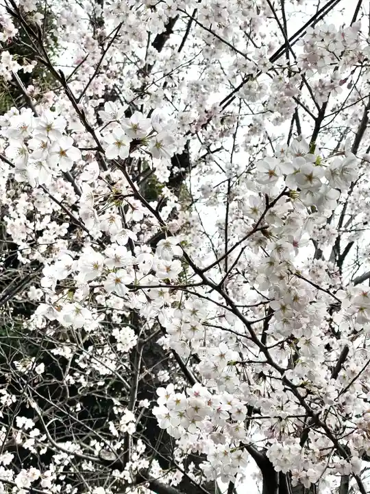 赤羽八幡神社(東京都)