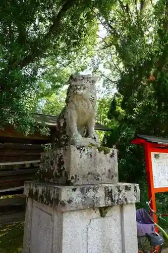 松尾大社の狛犬