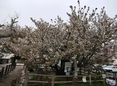 長勝院の{uncategorized: "未分類", other: "その他", undefined: "問題あり", building: "その他建物", grave: "お墓", sacred_gate: "鳥居", guardian: "狛犬", statue: "像", buddha: "仏像", history: "歴史", nature: "自然", garden: "庭園", animal: "動物", pagoda: "塔", temizu: "手水舎", mountain_gate: "山門・神門", sanctuary: "本殿・本堂", subordinate: "末社・摂社", art: "芸術", scenery: "景色", jizo: "地蔵", ema: "絵馬", goshuin: "御朱印", omikuji: "おみくじ", items: "授与品その他", amulet: "お守り", goshuincho: "御朱印帳", eats: "食事", festival: "お祭り", votive_dance: "神楽", shichigosan: "七五三参", wedding: "結婚式", experience: "体験その他", initially: "初詣", around: "周辺", anti_infection: "感染症対策"}