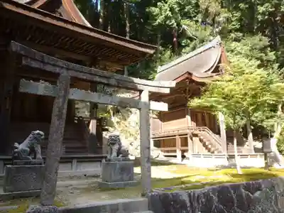 圓教寺の鳥居