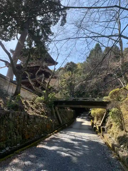園城寺(三井寺)(滋賀県)