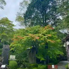 古峯神社(栃木県)