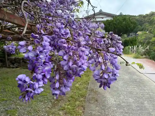 神光寺(徳島県)