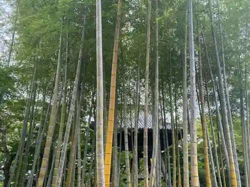 修禅寺(静岡県)