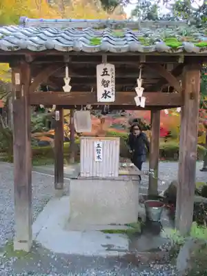 今熊野観音寺(京都府)