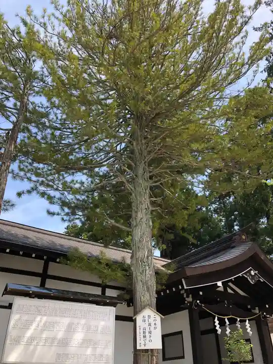 寒河江八幡宮(山形県)