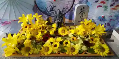 札幌諏訪神社の手水舎