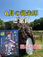 糀谷八幡宮(埼玉県)