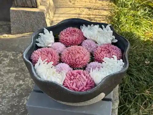 法輪寺の{uncategorized: "未分類", other: "その他", undefined: "問題あり", building: "その他建物", grave: "お墓", sacred_gate: "鳥居", guardian: "狛犬", statue: "像", buddha: "仏像", history: "歴史", nature: "自然", garden: "庭園", animal: "動物", pagoda: "塔", temizu: "手水舎", mountain_gate: "山門・神門", sanctuary: "本殿・本堂", subordinate: "末社・摂社", art: "芸術", scenery: "景色", jizo: "地蔵", ema: "絵馬", goshuin: "御朱印", omikuji: "おみくじ", items: "授与品その他", amulet: "お守り", goshuincho: "御朱印帳", eats: "食事", festival: "お祭り", votive_dance: "神楽", shichigosan: "七五三参", wedding: "結婚式", experience: "体験その他", initially: "初詣", around: "周辺", anti_infection: "感染症対策"}