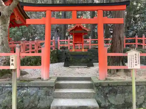 春日大社 若宮（春日若宮）(奈良県)