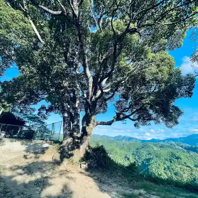 サムハラ神社 元宮(岡山県)