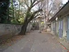 田端八幡神社(東京都)