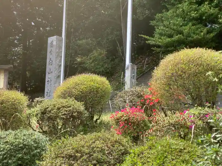 落合白山神社(東京都)
