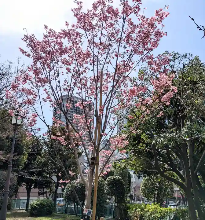 住吉神社の自然