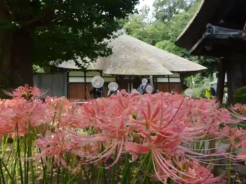 横浜　西方寺の本殿・本堂
