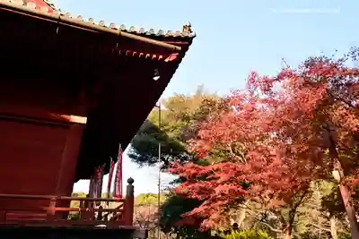 清水観音堂のその他建物