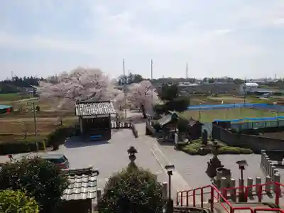 勝呂神社のその他建物