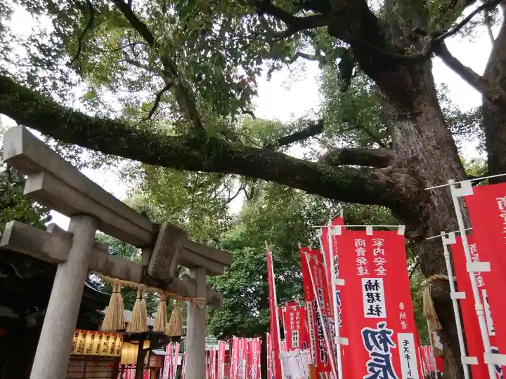 楠珺社(住吉大社末社)(大阪府)