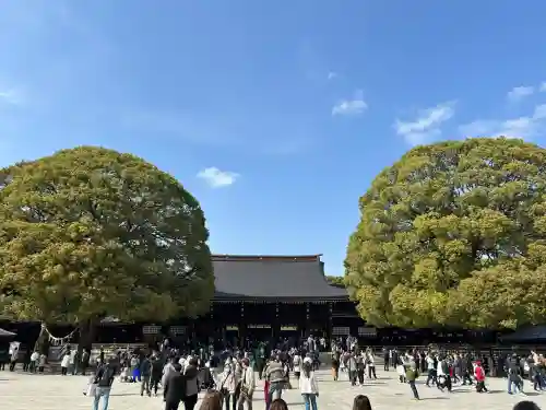 明治神宮(東京都)