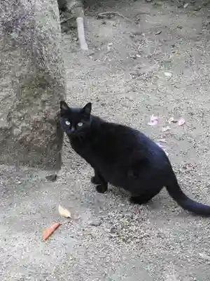 法隨稲荷大明王の動物