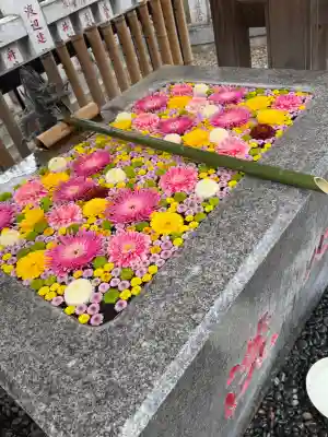 高円寺氷川神社(東京都)