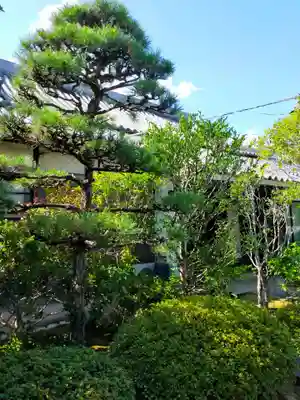 潮音寺(大阪府)