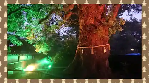 上野東照宮(東京都)