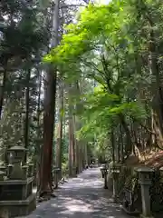 三峯神社の自然