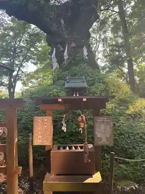 熊野皇大神社(長野県)