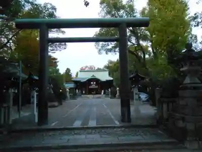 溝旗神社（肇國神社）の鳥居