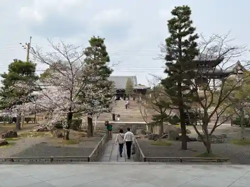 くろ谷 金戒光明寺の{uncategorized: "未分類", other: "その他", undefined: "問題あり", building: "その他建物", grave: "お墓", sacred_gate: "鳥居", guardian: "狛犬", statue: "像", buddha: "仏像", history: "歴史", nature: "自然", garden: "庭園", animal: "動物", pagoda: "塔", temizu: "手水舎", mountain_gate: "山門・神門", sanctuary: "本殿・本堂", subordinate: "末社・摂社", art: "芸術", scenery: "景色", jizo: "地蔵", ema: "絵馬", goshuin: "御朱印", omikuji: "おみくじ", items: "授与品その他", amulet: "お守り", goshuincho: "御朱印帳", eats: "食事", festival: "お祭り", votive_dance: "神楽", shichigosan: "七五三参", wedding: "結婚式", experience: "体験その他", initially: "初詣", around: "周辺", anti_infection: "感染症対策"}