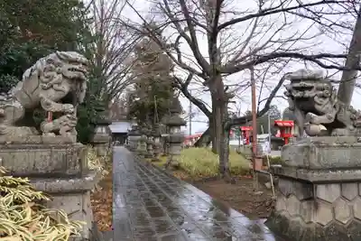 神炊館神社 ⁂奥州須賀川総鎮守⁂の狛犬