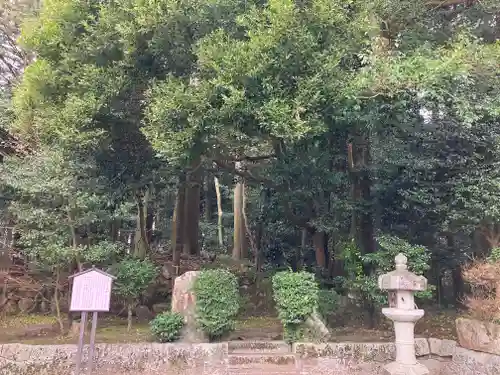 奥石神社(滋賀県)