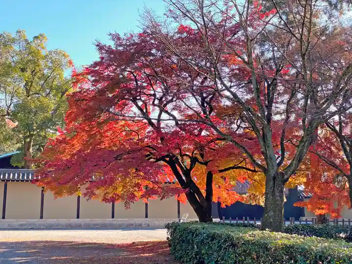 白雲神社の自然
