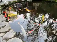 伊勢神宮内宮（皇大神宮）の庭園