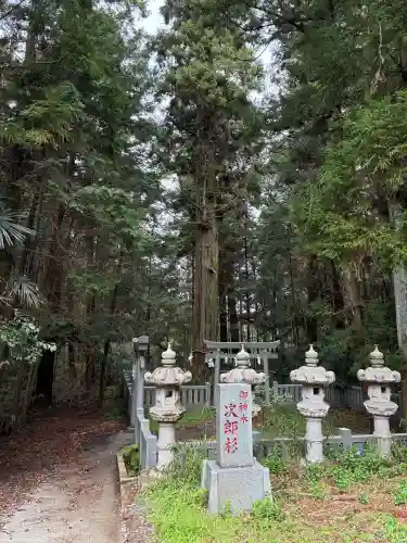 大杉神社の{uncategorized: "未分類", other: "その他", undefined: "問題あり", building: "その他建物", grave: "お墓", sacred_gate: "鳥居", guardian: "狛犬", statue: "像", buddha: "仏像", history: "歴史", nature: "自然", garden: "庭園", animal: "動物", pagoda: "塔", temizu: "手水舎", mountain_gate: "山門・神門", sanctuary: "本殿・本堂", subordinate: "末社・摂社", art: "芸術", scenery: "景色", jizo: "地蔵", ema: "絵馬", goshuin: "御朱印", omikuji: "おみくじ", items: "授与品その他", amulet: "お守り", goshuincho: "御朱印帳", eats: "食事", festival: "お祭り", votive_dance: "神楽", shichigosan: "七五三参", wedding: "結婚式", experience: "体験その他", initially: "初詣", around: "周辺", anti_infection: "感染症対策"}