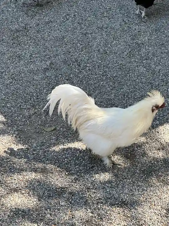 石上神宮(奈良県)