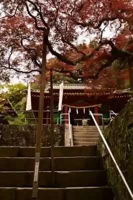 久能山東照宮(静岡県)