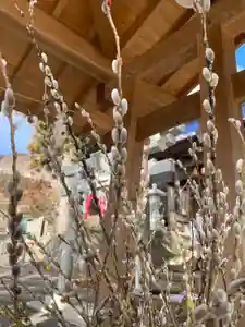 高司神社〜むすびの神の鎮まる社〜(福島県)(2023年02月22日(水) 09時24分26秒投稿)