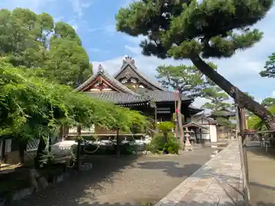 葛井寺(大阪府)