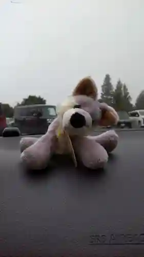 三峯神社(埼玉県)