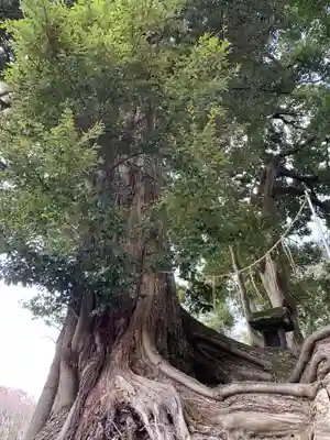 鹿原神社(千葉県)