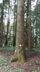 香取神社の建物その他